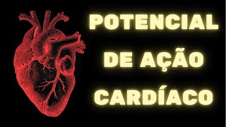 Potencial de ação cardíaco e contração do coração – Fisiologia Humana [upl. by Lundquist]