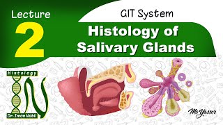 PLEOMORPHIC ADENOMA  SALIVARY GLAND TUMOR  ORAL PATHOLOGY  ORAL CANCERS [upl. by Kragh]