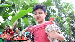 Keren Soleman Menyelamatkan Ayam yang Mau Diadu  Rejekinya Anak Soleh Eps 5 [upl. by Osher]