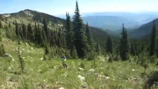 Huckleberry Picking on the Plewman Trail Rossland BC [upl. by Nirol]