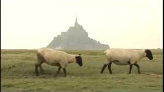 Le Mont SaintMichel la baie nourricière [upl. by Llertnom]