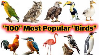 most popular birds  birds name in english  birds vocabulary in english [upl. by Waldos]