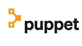 Configuration Management with Puppet The Initial Setup [upl. by Euqinomod364]