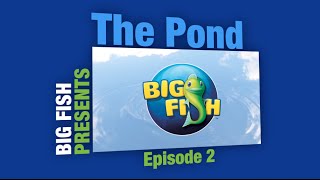 Gummy Drop Hints New MCF amp Giveaways  The Pond Ep 2 [upl. by Aneger223]