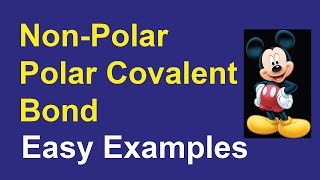 Polar and Non polar covalent bond l Polar and Non polar covalent Molecules l Chemistry l Class 9 [upl. by Drus207]