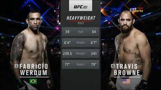 Fabricio Werdum vs Travis Browne [upl. by Leiser]