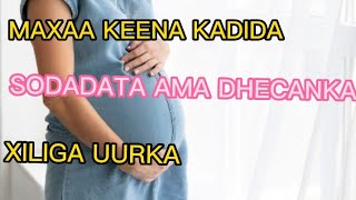 MAXAA SABABA KAADIDA INAAY SODADATO XILIGA UURKA AMA DHECANKA AMNIOTIC [upl. by Lamprey736]