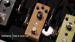 Eno Pedal Test Drive 33 Squeezer Octaver Etremolo Ambiance Analogy Trance X Reverb [upl. by Cheatham]