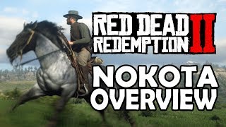 Nokota Overview  Red Dead Redemption 2 Horses [upl. by Rabush]