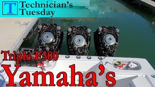 Servicing Triple 300 Yamaha Outboards  Technicians Tuesday [upl. by Strang]