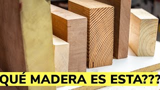 Cómo Identificar Los Tipos De Madera [upl. by Hitt510]