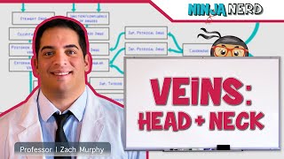 Circulatory System  Veins of the Head amp Neck  Flow Chart [upl. by Carmelita938]