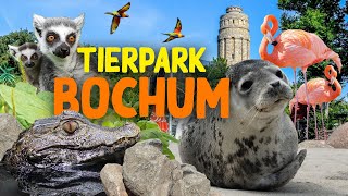 Tierpark  Fossilium Bochum  ZooEindruck [upl. by Furnary]