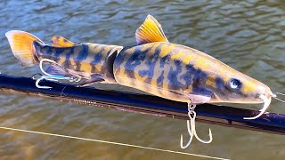 Making a FlatHead CatFish SwimBait [upl. by Ahsasal]