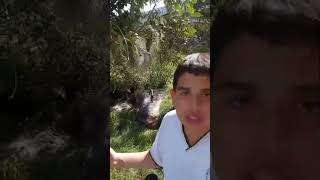 video para el colegio [upl. by Adlin]