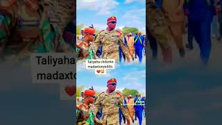 somaliland ha nolato somalinimo duna ha warto [upl. by Bittencourt]