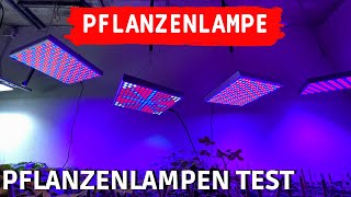 TEST Profi LED Pflanzenlampe vs billiges Amazon Grow Light  LED Pflanzenlichter Vergleich [upl. by Annabelle]