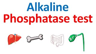 Alkaline phosphatase ALP test and its significance [upl. by Elak]