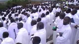 MWARI HAANGANYADZISE ANOTAURA CHOKWADI [upl. by Trawets]