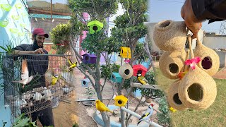 Birds Aviary K Liye New Birds Ly Aiye 🥰  Birds Aviary [upl. by Eduard]