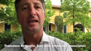 Highlights of Gavi DOCG [upl. by Mode]