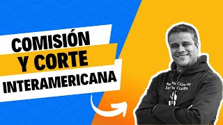 Comisión y Corte Interamericana de Derechos Humanos [upl. by Cate773]