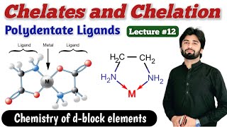 Chelates in Coordination Compounds  Ligands and thier Classification  Polydentate Ligands [upl. by Nosa701]