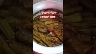 সজনে দিয়ে বোয়াল মাছ [upl. by Nostrebor]