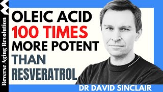 DAVID SINCLAIR “Oleic Acid 100 Times More Potent Than Resveratrol”Dr David Sinclair Interview Clips [upl. by Reviel]