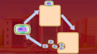 Monkeypox Replicative cycle  Tecovirimat Mechanism of action [upl. by Broeker764]