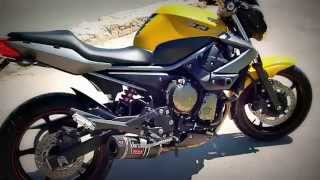 Yamaha XJ6  2009 [upl. by Jackelyn847]