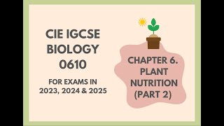 6 Plant Nutrition Part 2 Cambridge IGCSE Biology 0610 for exams in 2023 2024 and 2025 [upl. by Derreg820]