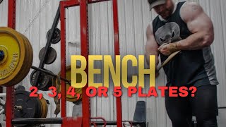 How Many Can BENCH PRESS 225 315 405 or 495 [upl. by Admama]