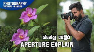 Aperture Explain  Photography Basics Part 03 [upl. by Yromem]