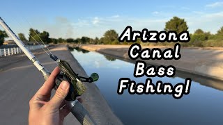 Canal bass fishing Arizona urban canals [upl. by Gary]