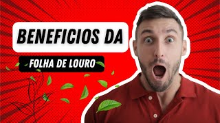 BENEFICIOS DA FOLHA DE LOURO [upl. by Odraner552]