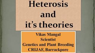 Genetic Basis of Heterosis  Dominance and Overdominance theory  Vikas Mangal Scientist CRIJAF [upl. by Lah91]