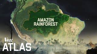 The destruction of the Amazon explained [upl. by Oznol]