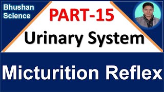 PART 15 Urinary System  Micturition Reflex  B Pharm GPAT Nursing [upl. by Ocirema]