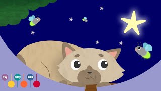 Star Light Star Bright Nursery Rhyme  ItsyBitsyKids [upl. by Eulalee]