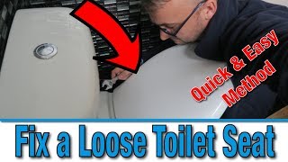 How to Fix a Loose Toilet Seat  Wonky Loo Seat  Bathroom Hacks [upl. by Arbas]