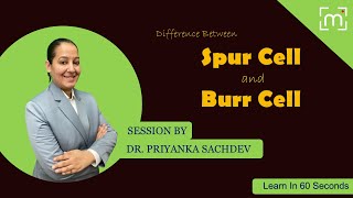 Differences in Spur Cell amp Burr Cell RBC  Acanthocyte  Echinocyte [upl. by Sitoiganap]