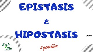 Persilangan Epistasis amp Hipostasis  Penyimpangan Hukum Mendell [upl. by Eolanda]