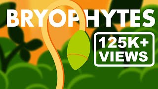 Bryophytes Class 11  Life Cycle of Bryophytes ANIMATION  Plant Kingdom Class 11  NEET [upl. by Garrik]