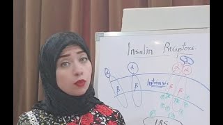 Hormone Biochemistry Session 7Insulin Receptors [upl. by Arekat]