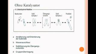 Enzyme  Katalytische Wirkung Teil 2 [upl. by Gusta]