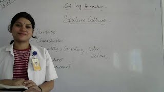 Sputum culture Nursing Foundation Bsc nsg and gnm 1st year [upl. by Trina]