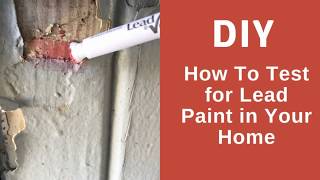 Test for Lead Paint with the DLead Paint Test Kit [upl. by Hoye]