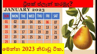 2023 calendar in sri lanka  2023 holidays sri lanka  sri lanka holiday 2023  2023 නිවාඩු දින [upl. by Samaria]