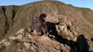 Striding across Striding Edge to Helvellyn in the Lake District HD full version [upl. by Cirdahc]